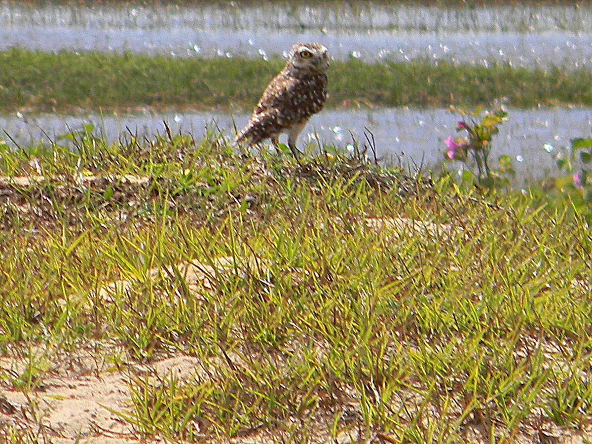 Pousada Três Lagoas Luis Correia Exterior foto